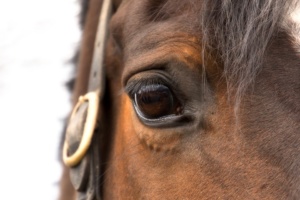 59b5787f8b77375b9332ea7782daec40